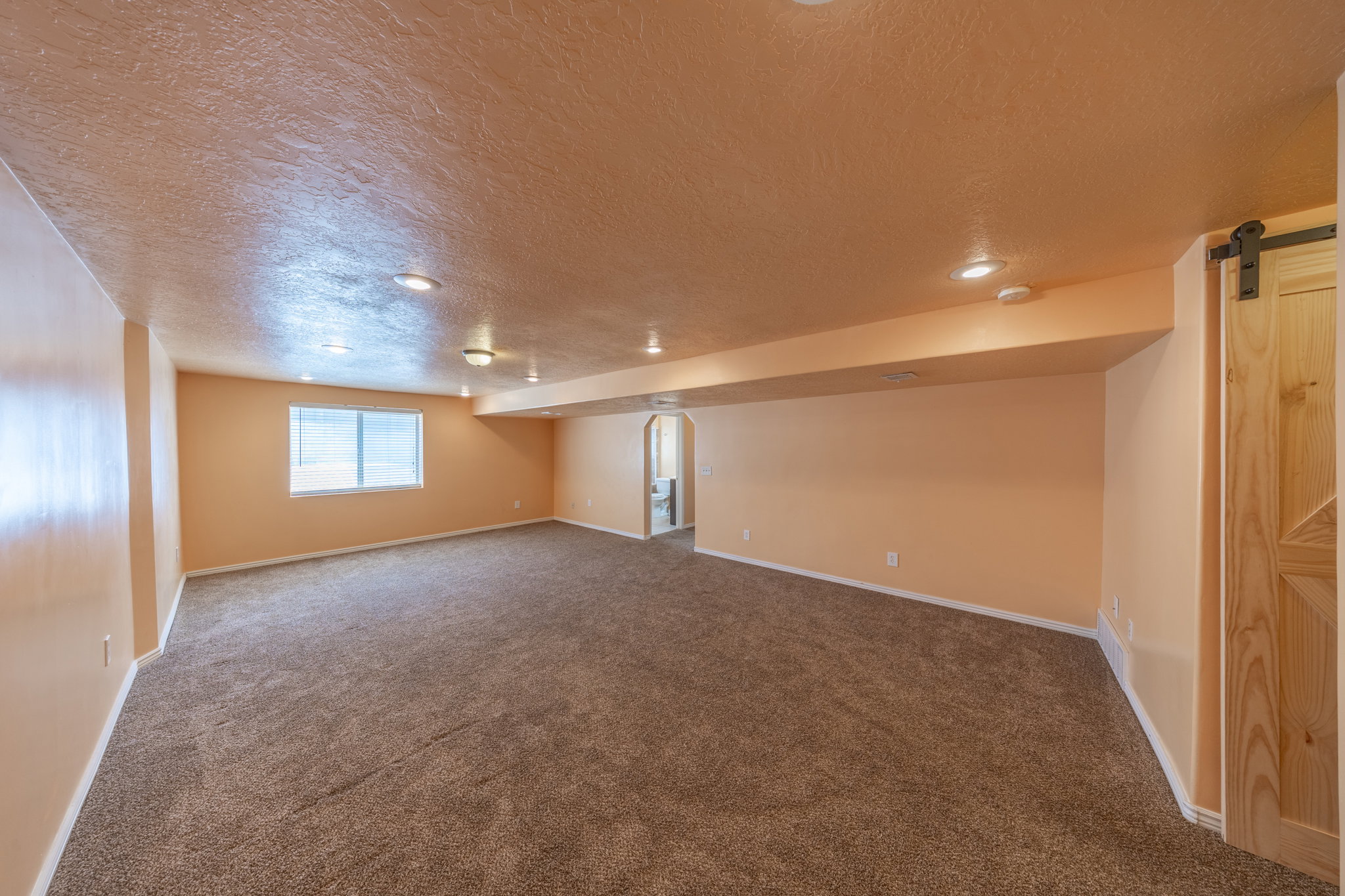 Expansive room with neutral carpeting and light-toned walls