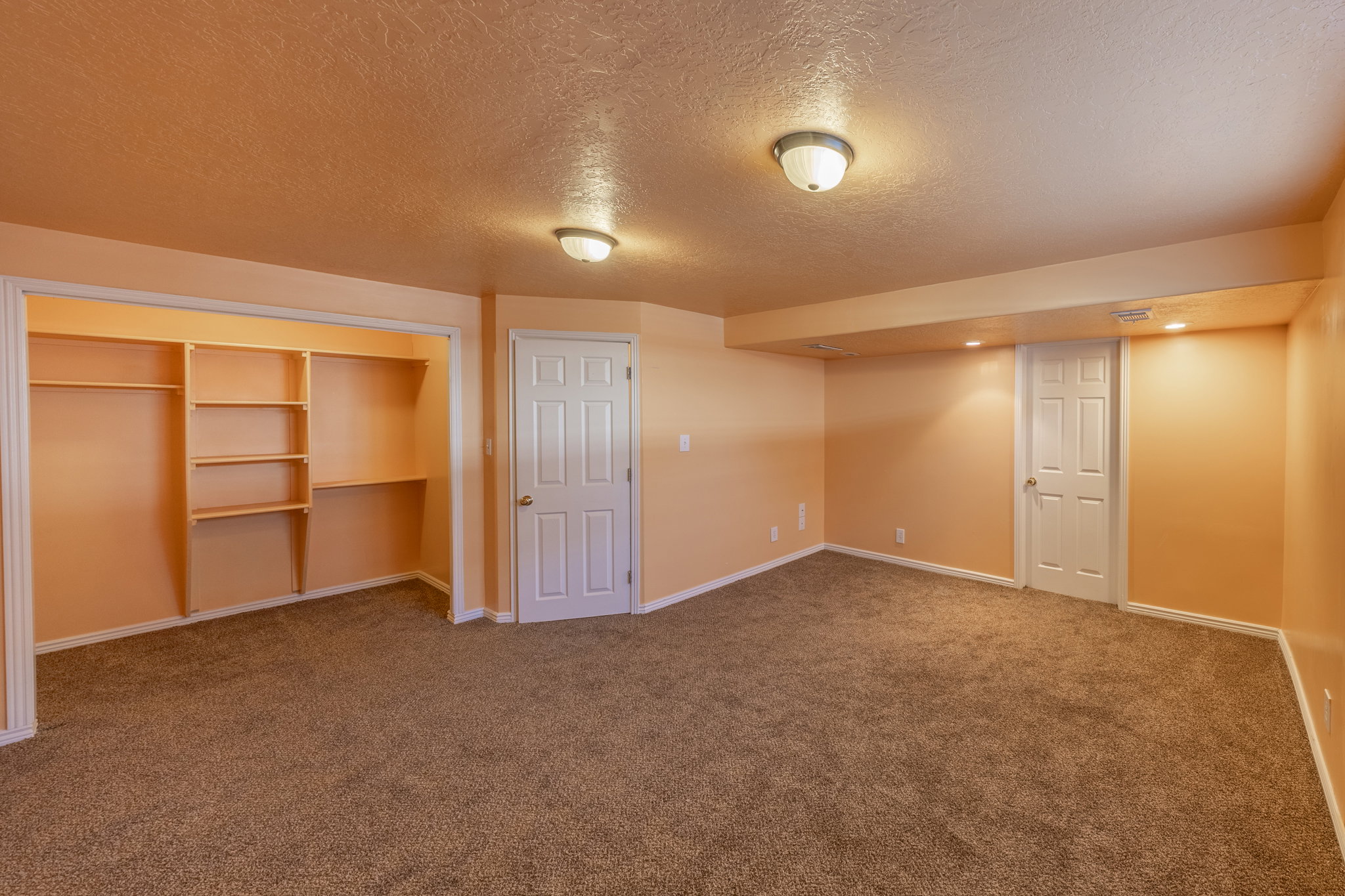 Carpeted room featuring built-in closet shelving, two paneled doors, and ceiling-mounted lighting fixtures