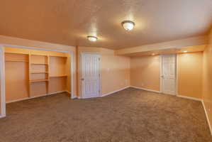 Carpeted room featuring built-in closet shelving, two paneled doors, and ceiling-mounted lighting fixtures