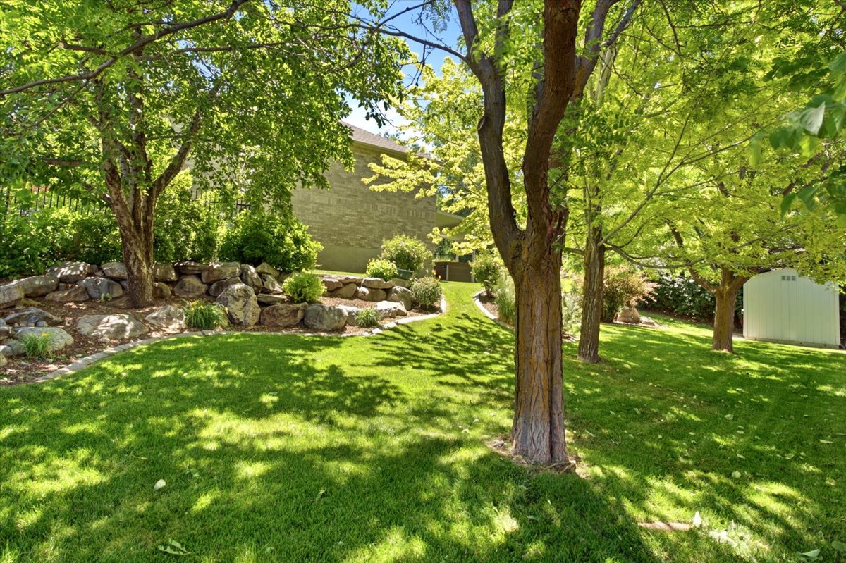 Expansive green lawn with mature trees providing dappled sunlight