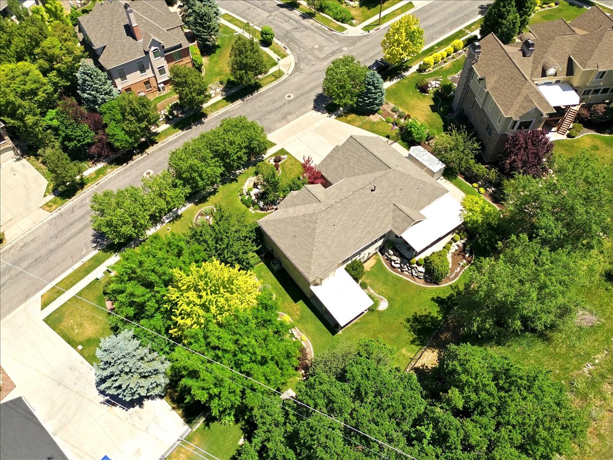 Expansive property featuring a mature landscape, established trees, and a concrete driveway