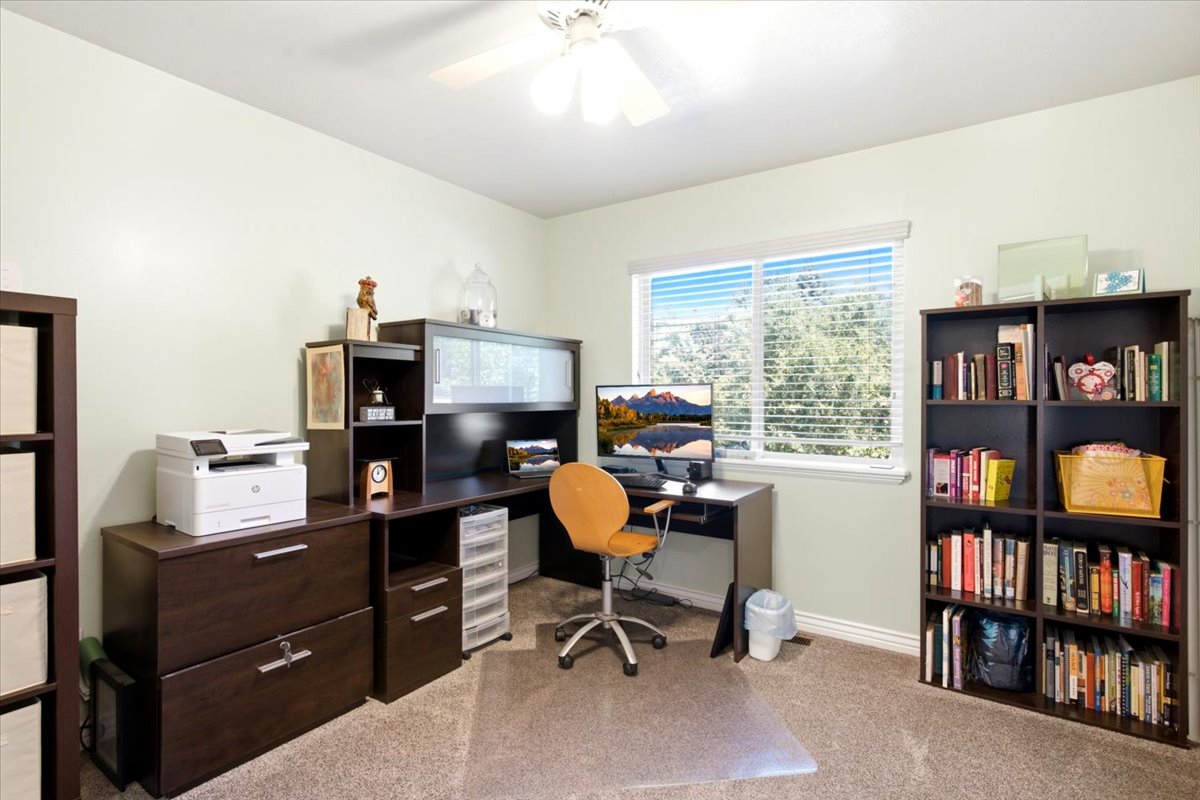 Carpeted room featuring a ceiling fan with light, a window with blinds, and built-in shelving