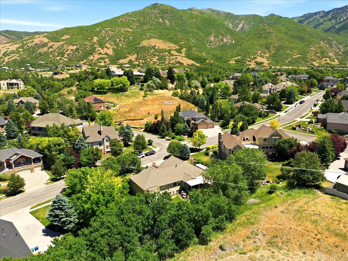 Residential neighborhood featuring mature trees and mountain backdrops