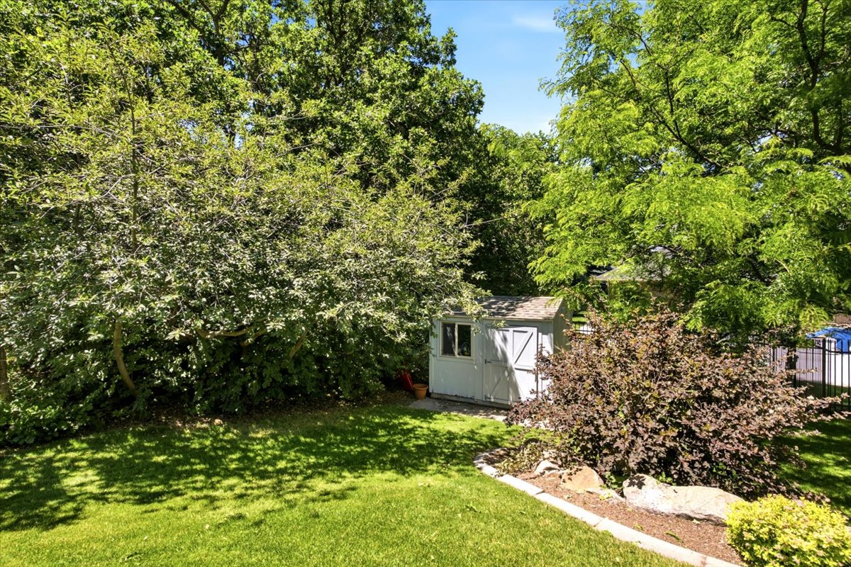 Expansive backyard featuring a manicured lawn, established trees, and a light-colored storage shed with white trim