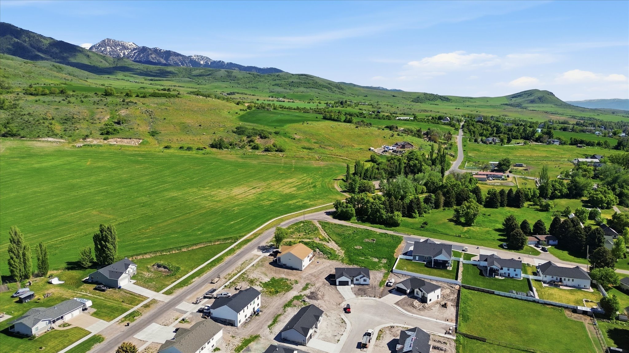 Expansive green landscape featuring distant snow-capped mountains and scattered residential properties
