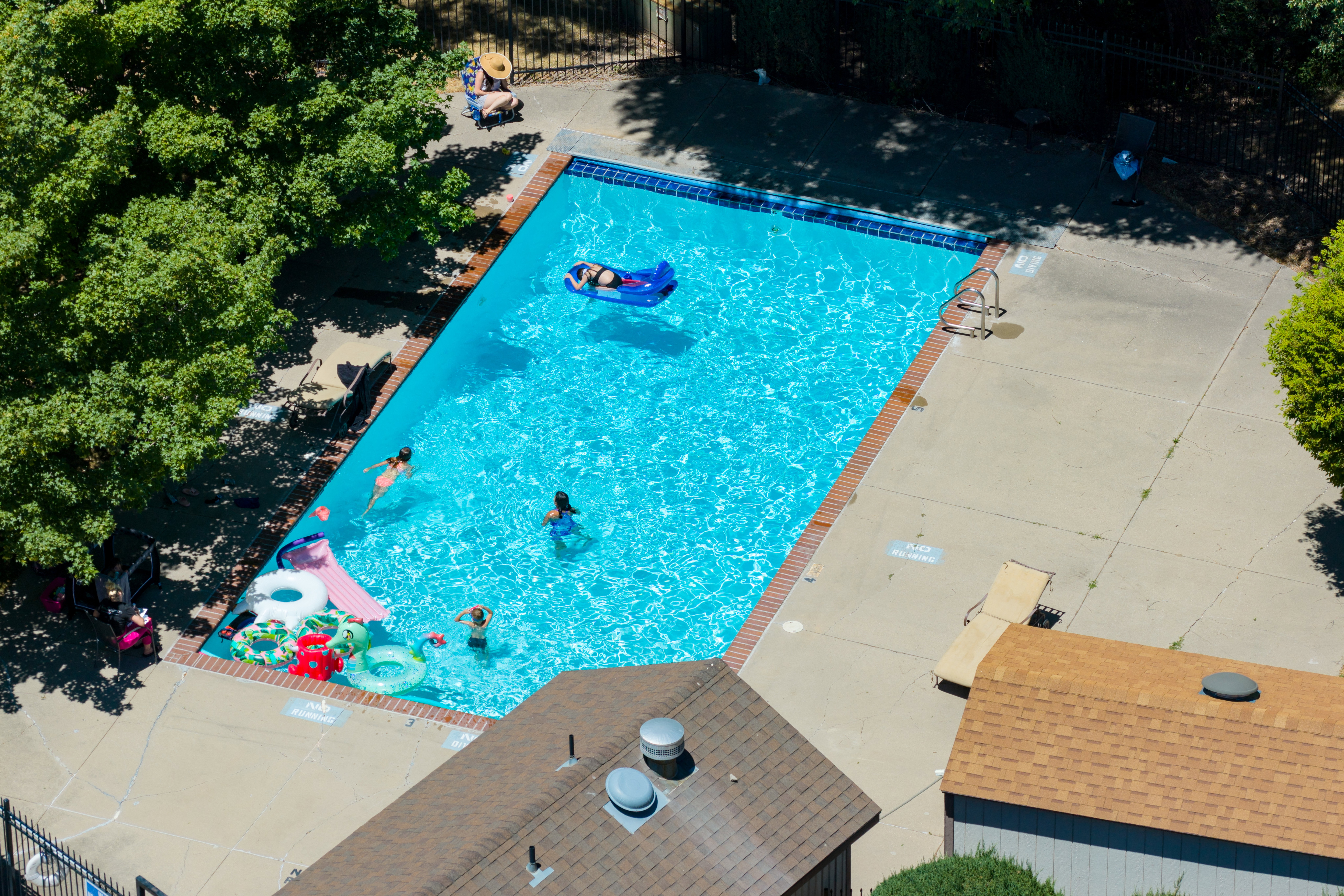 Rectangular swimming pool featuring a brick coping, concrete surround, and perimeter fencing