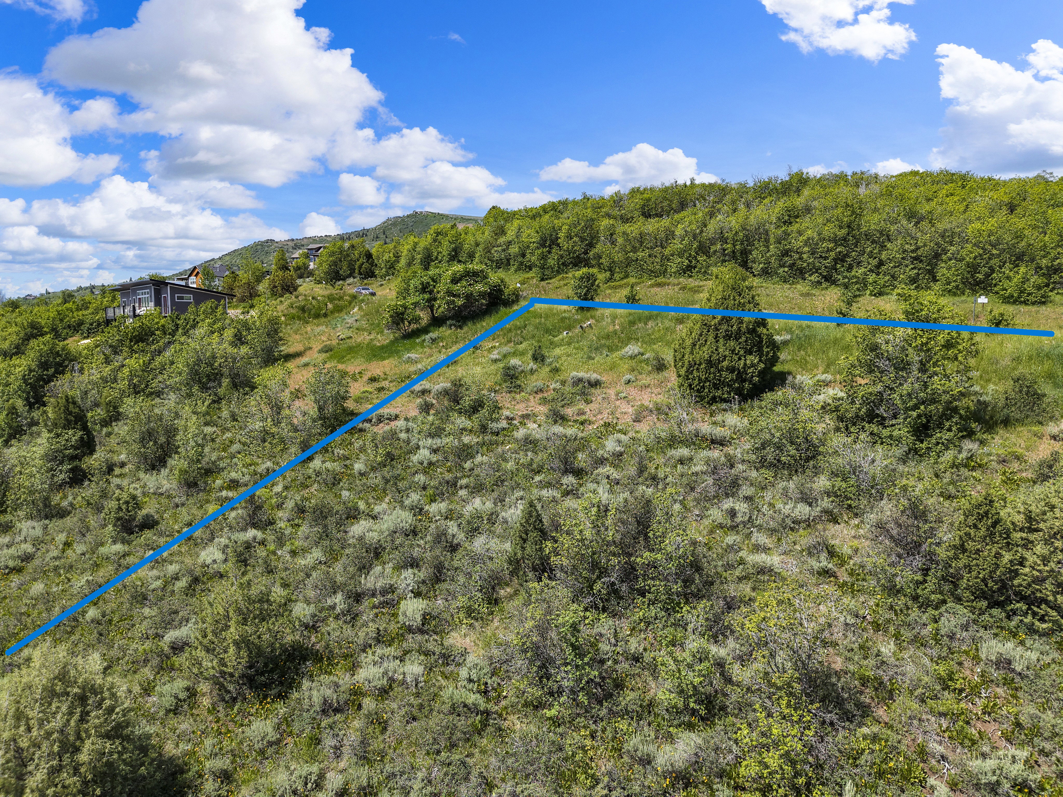 Expansive sloped property featuring varied natural vegetation and scattered trees, against a backdrop of a distant modern residence on a hillside