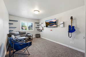 Carpeted room featuring built-in wall shelving, a window with plantation shutters, baseboard molding, and a flush-mount ceiling light fixture