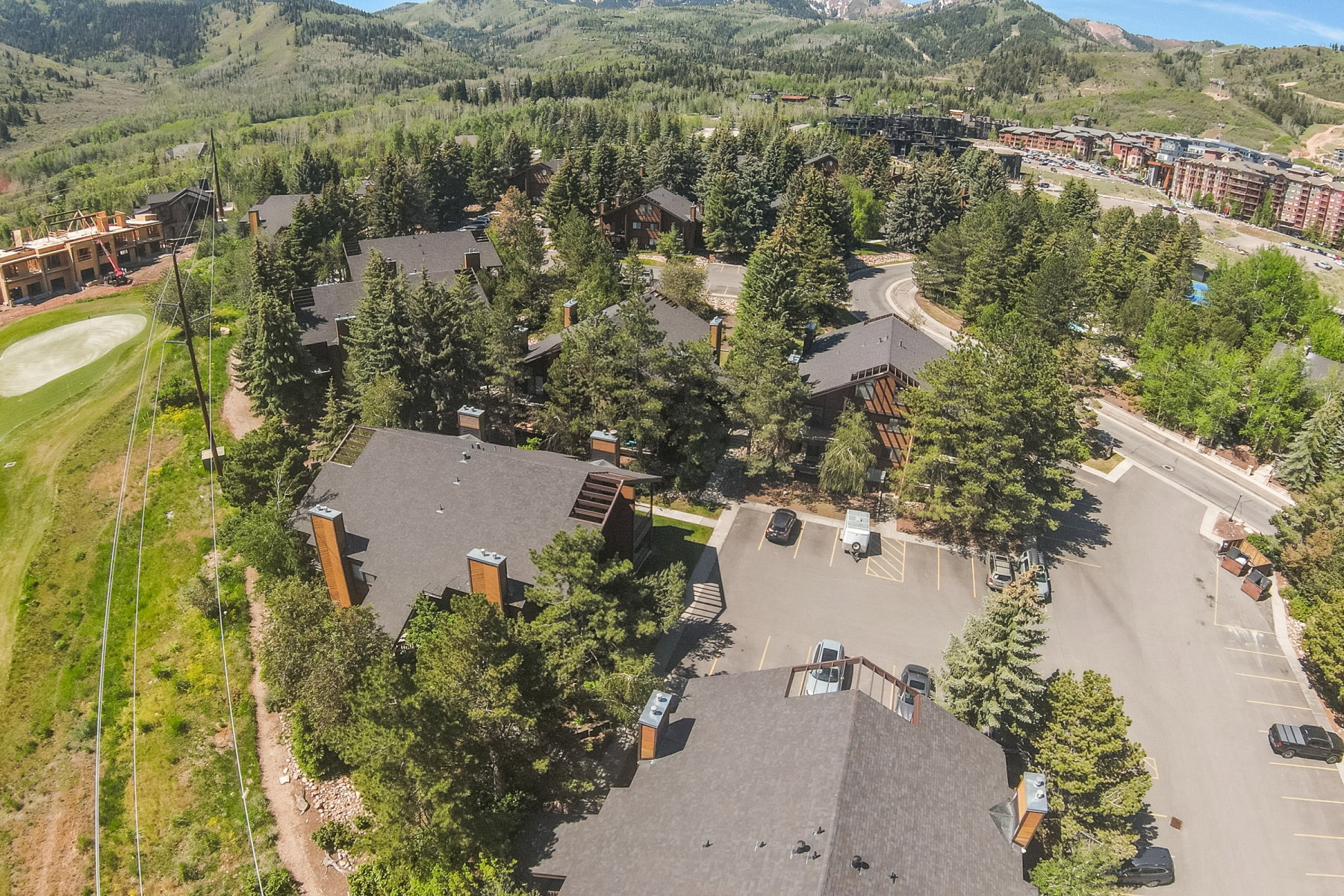 Aerial perspective showcasing a community of properties with dark shingle roofs, surrounded by mature evergreen trees