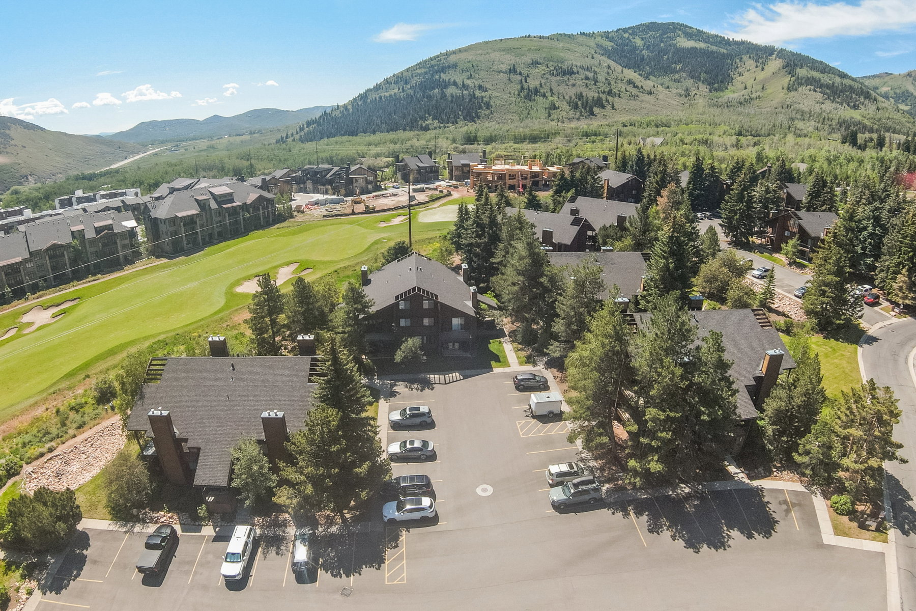 Aerial perspective showcasing a community of properties with dark roofs and wood siding, surrounded by mature evergreen trees