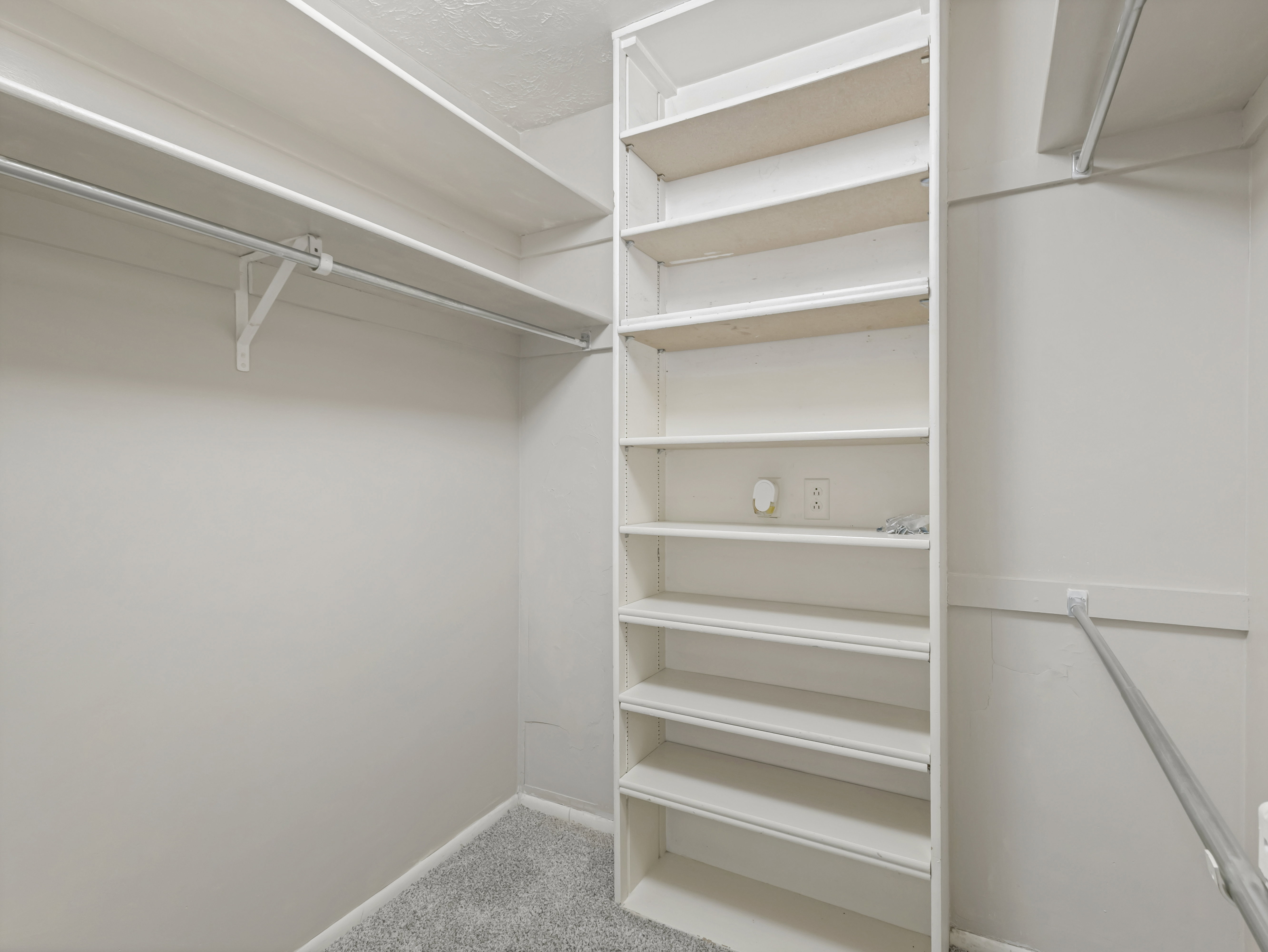 Walk-in closet featuring built-in shelving, hanging rods, light gray walls, and textured carpet flooring