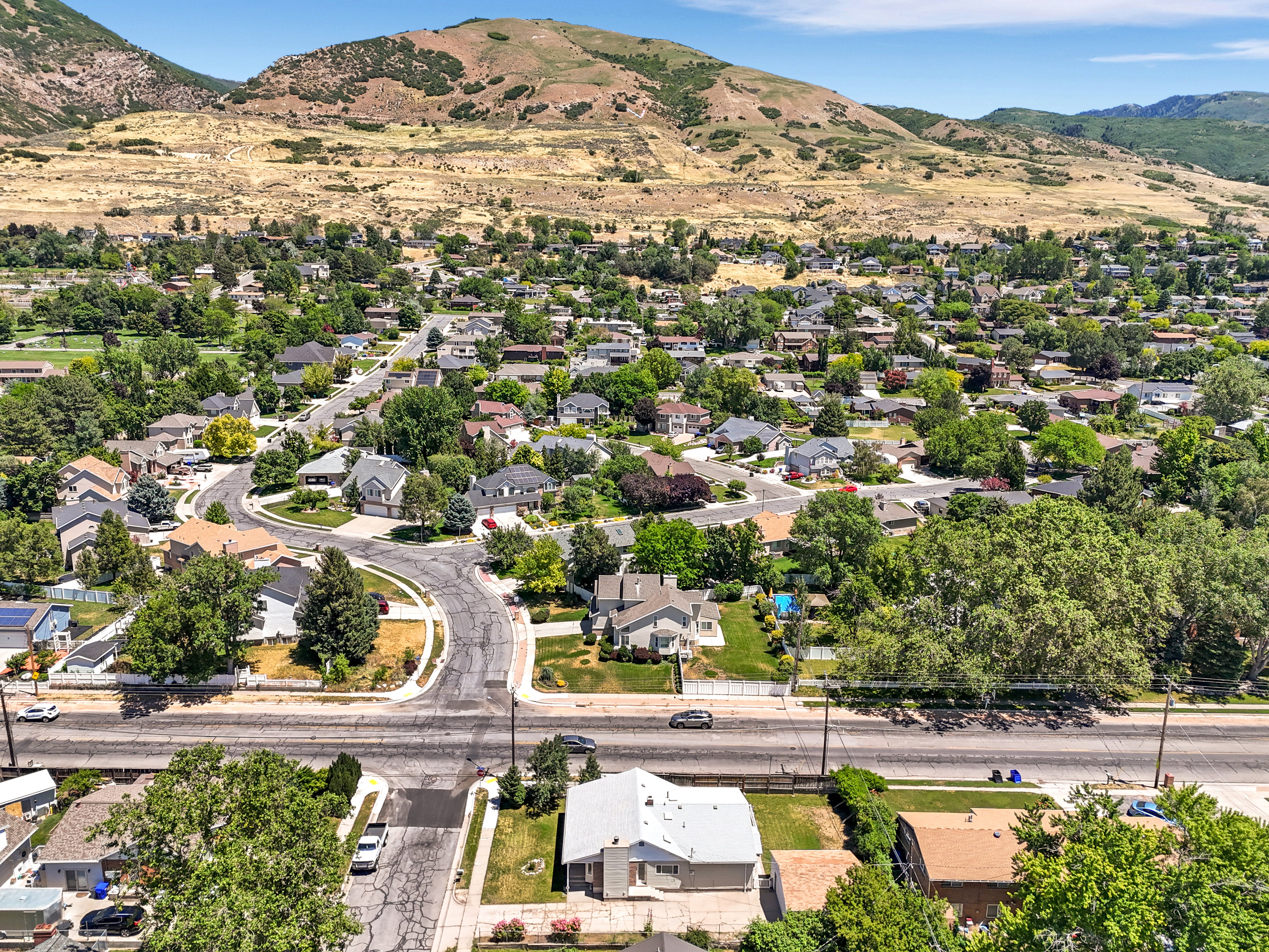 Residential neighborhood featuring mature trees and a distant mountainous backdrop