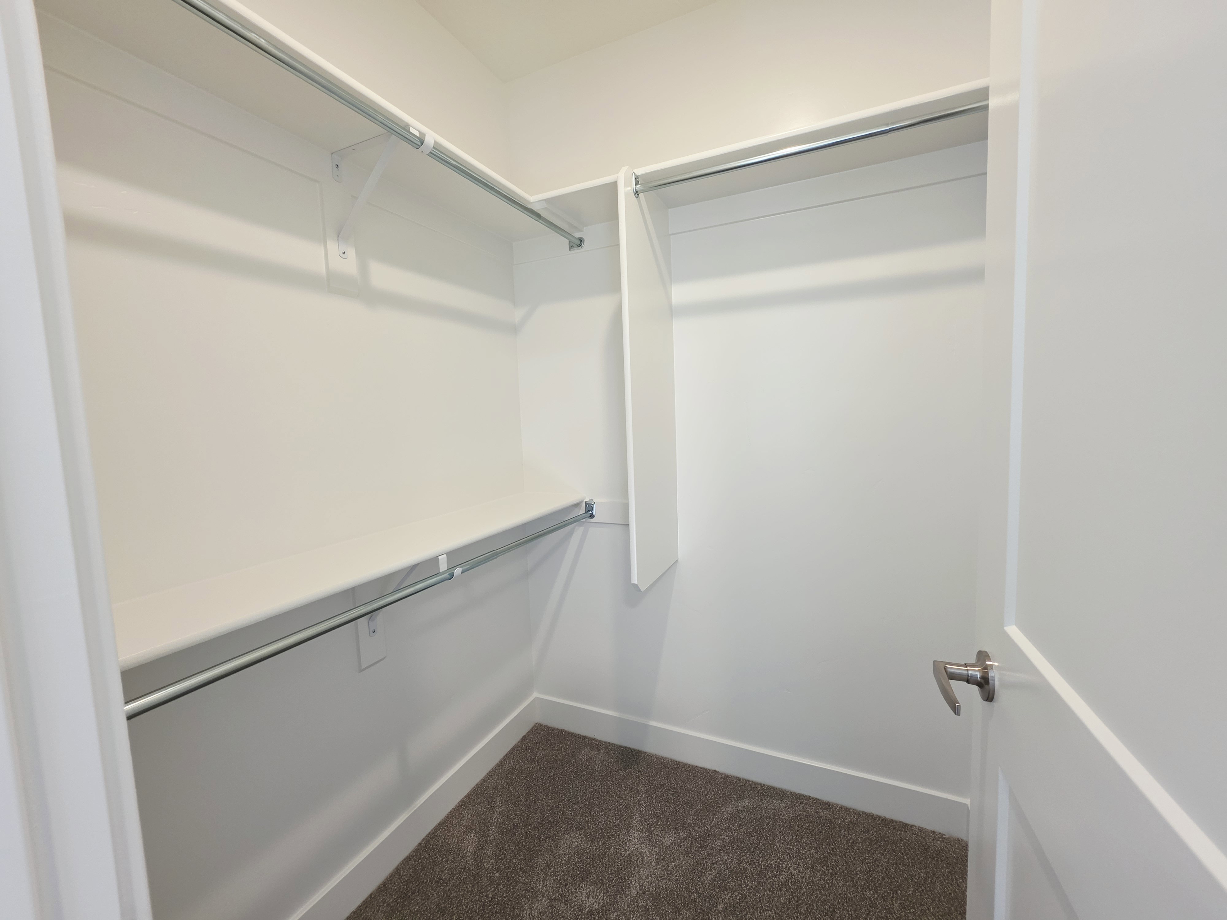 Walk-in closet featuring built-in shelving, chrome hanging rods, white trim, white walls, and neutral-toned carpeting