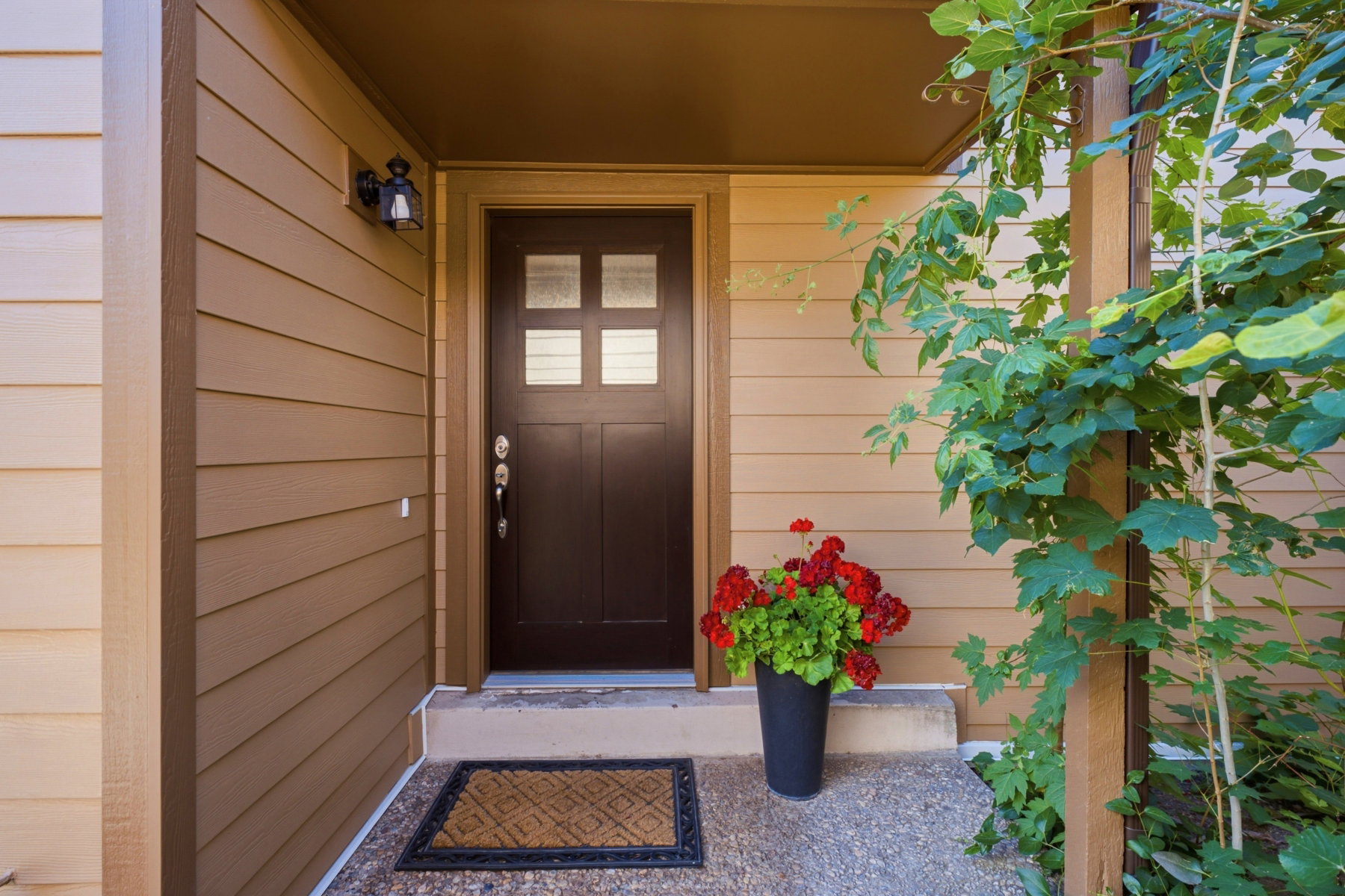 Entryway featuring a dark wood door with glass paneling, durable siding, an outdoor light fixture, and a concrete stoop