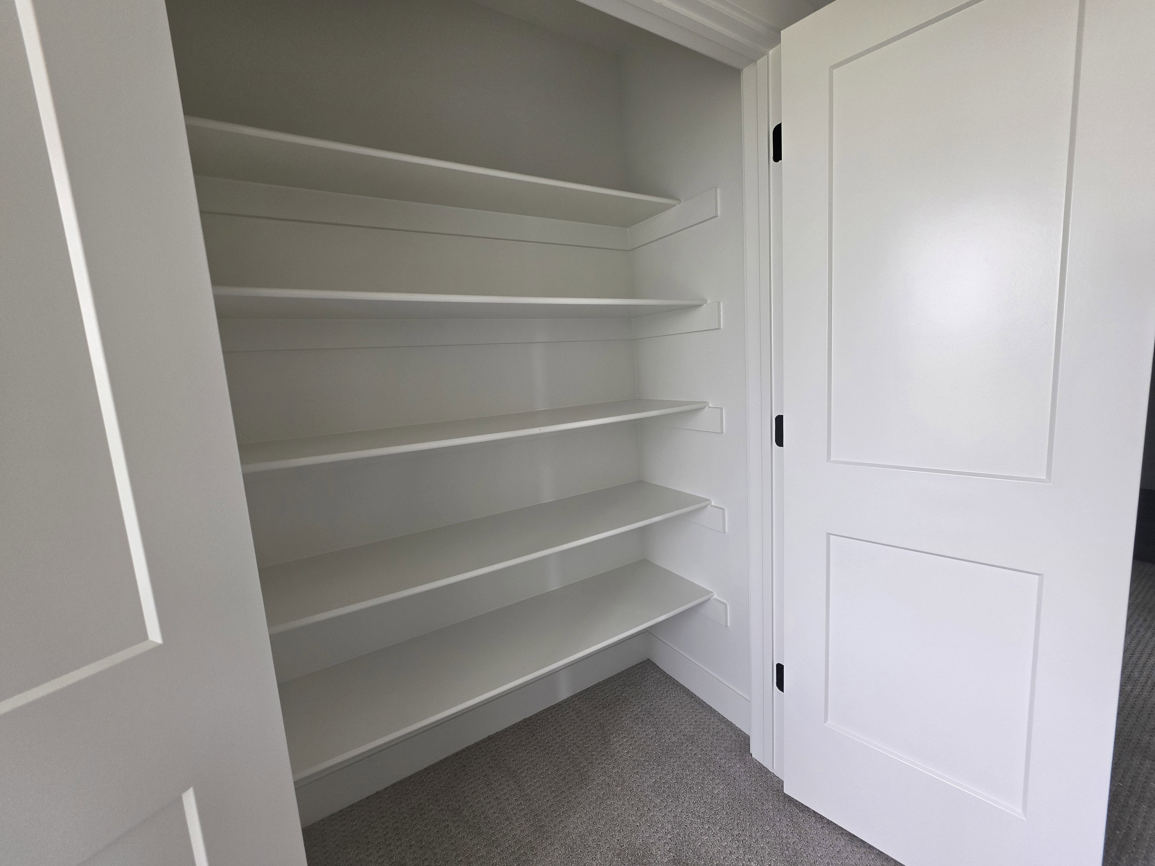 Built-in shelving unit featuring multiple white shelves, white trim, and light grey carpeting