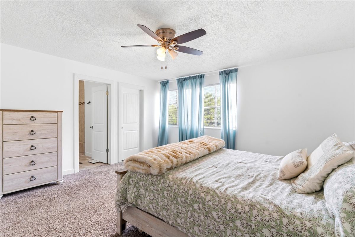 Spacious sleeping area featuring a ceiling fan with integrated lighting, two windows, and a carpeted floor