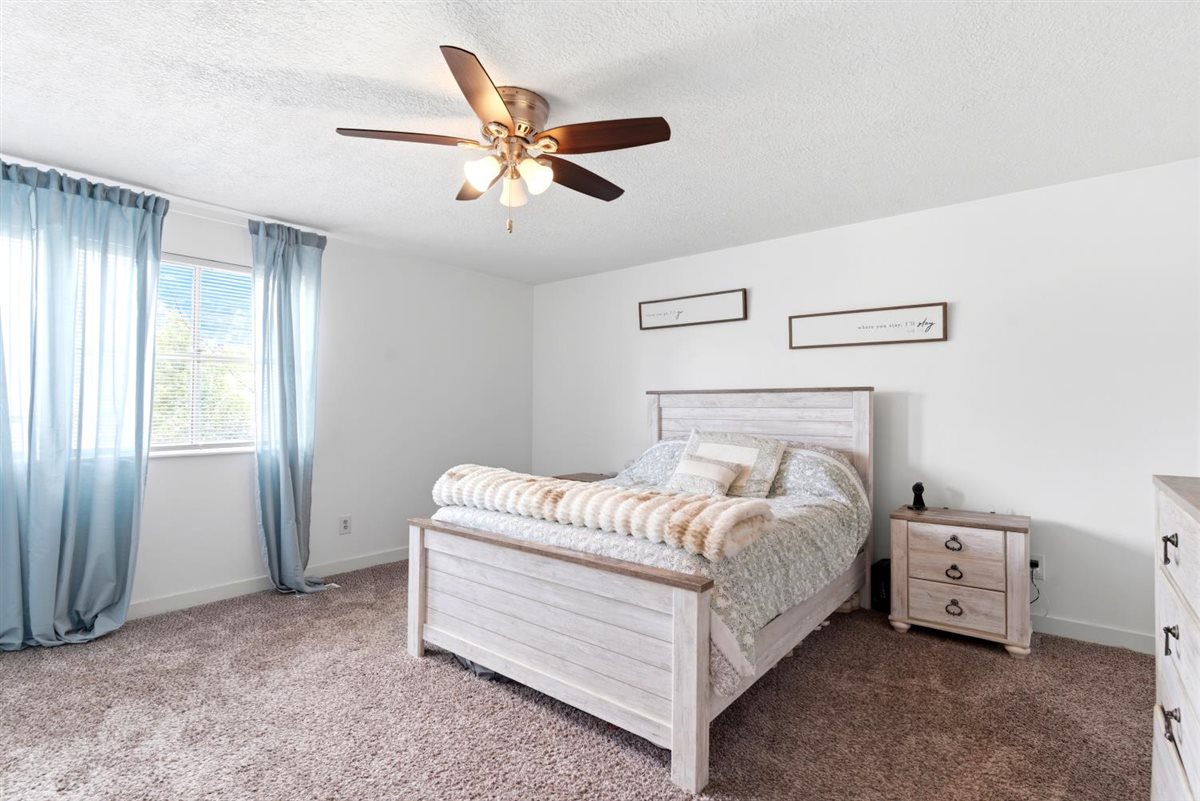 Carpeted room featuring a ceiling fan with integrated lighting, a window with exterior views, and white walls