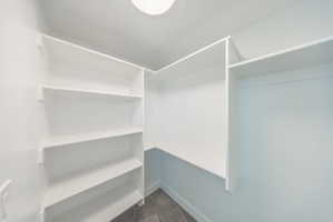 Walk-in closet featuring built-in shelving, ample storage space, wall-mounted light fixture, and carpet flooring