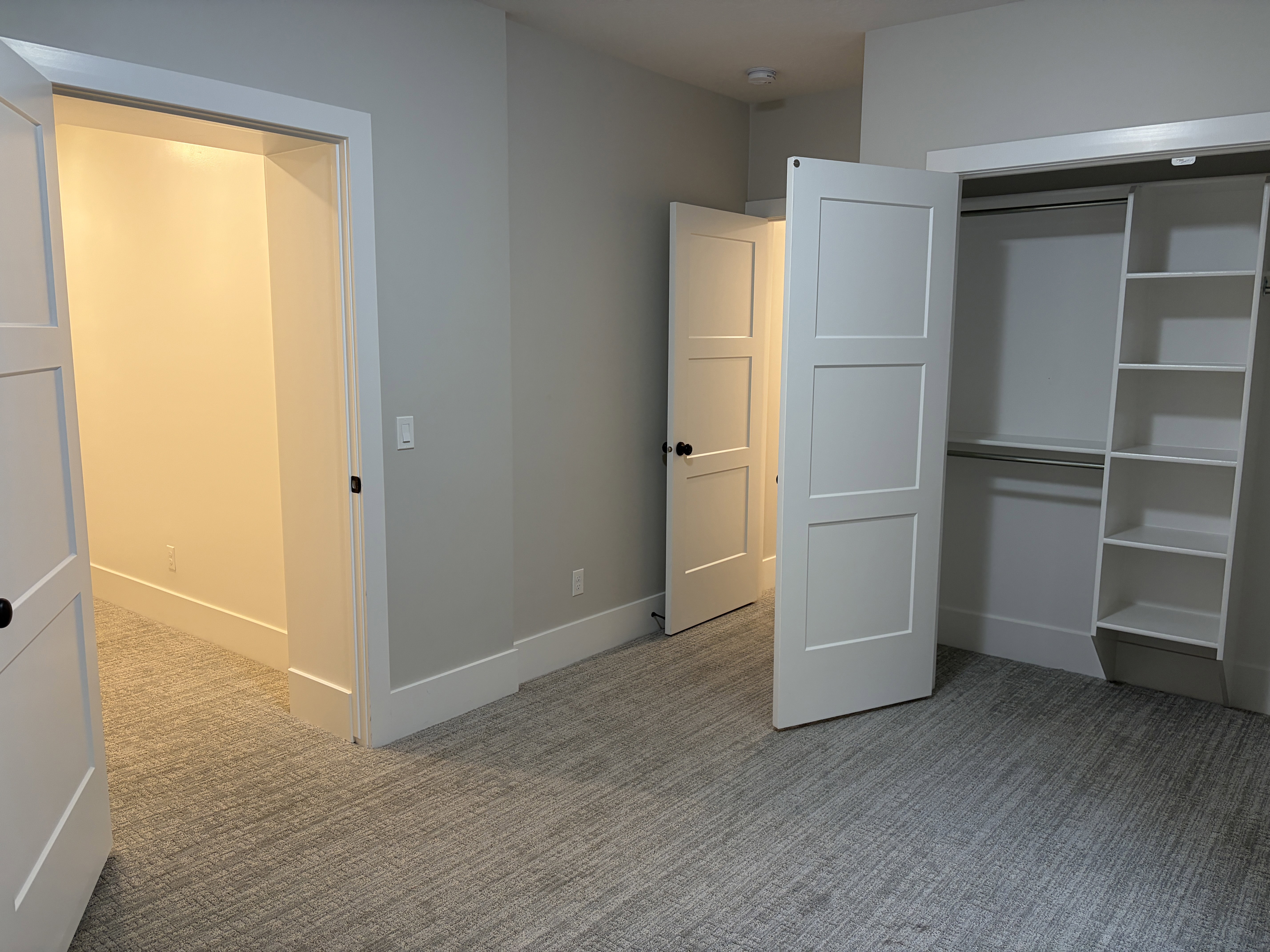 Carpeted interior with light gray walls, white trim, solid-core doors, and built-in closet shelving