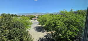 Expansive mountain backdrop with a residential street below, framed by lush mature trees