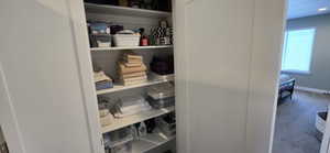 Built-in pantry shelving featuring multiple deep shelves, white finished surfaces, and a bright interior