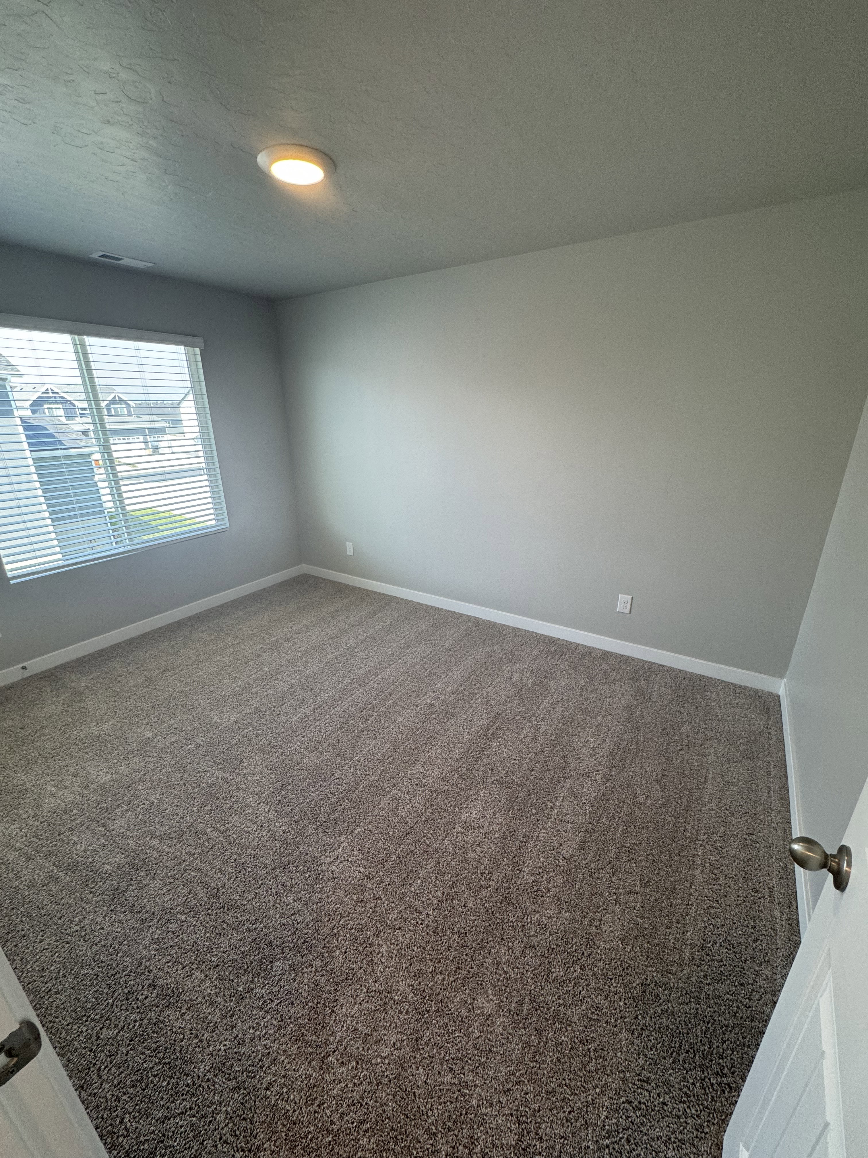Carpeted room featuring a large window with blinds, light gray walls, white trim, and a flush-mount ceiling light