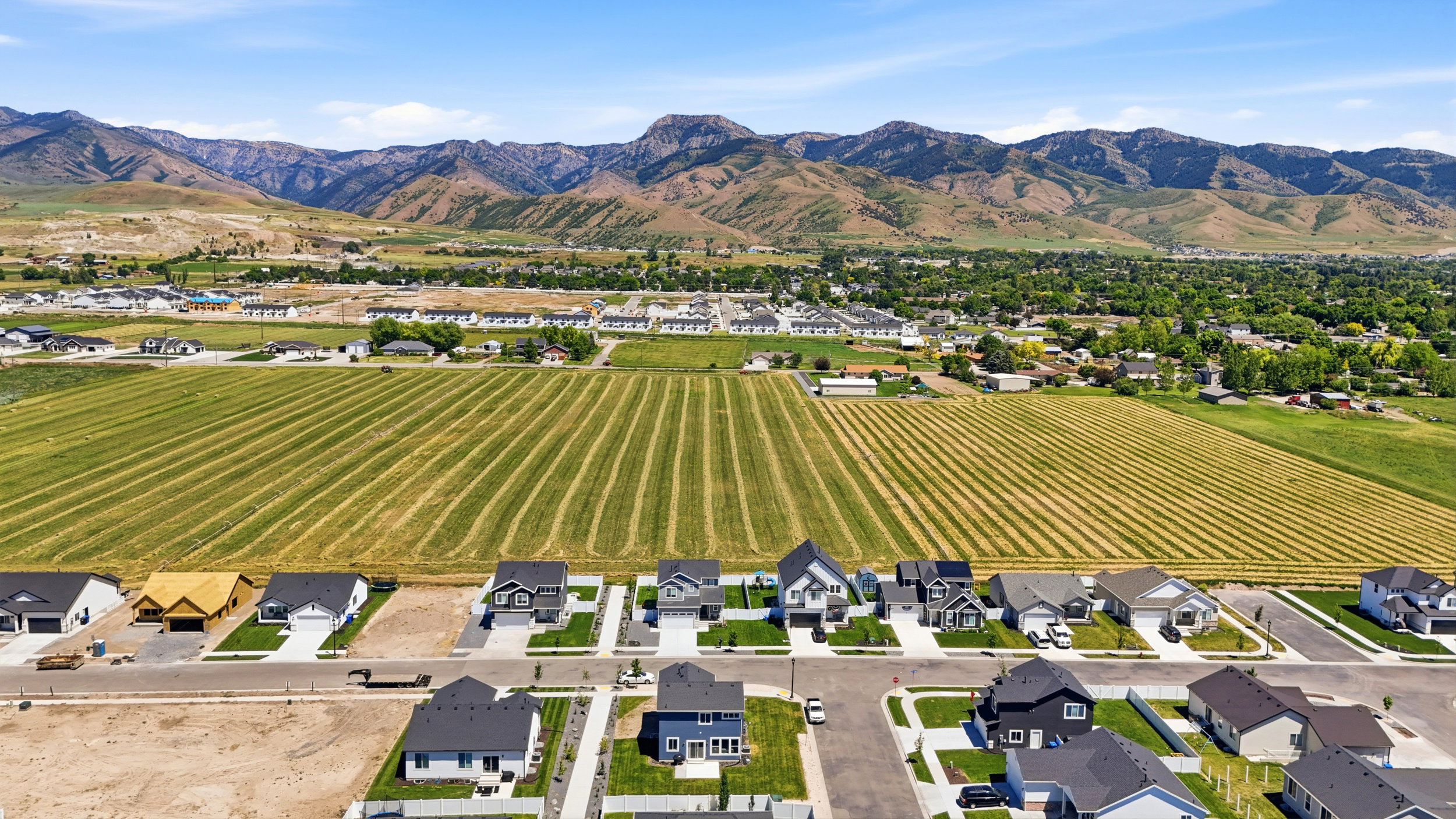 Expansive residential community featuring a variety of single-family homes, mature landscaping, and surrounding agricultural fields