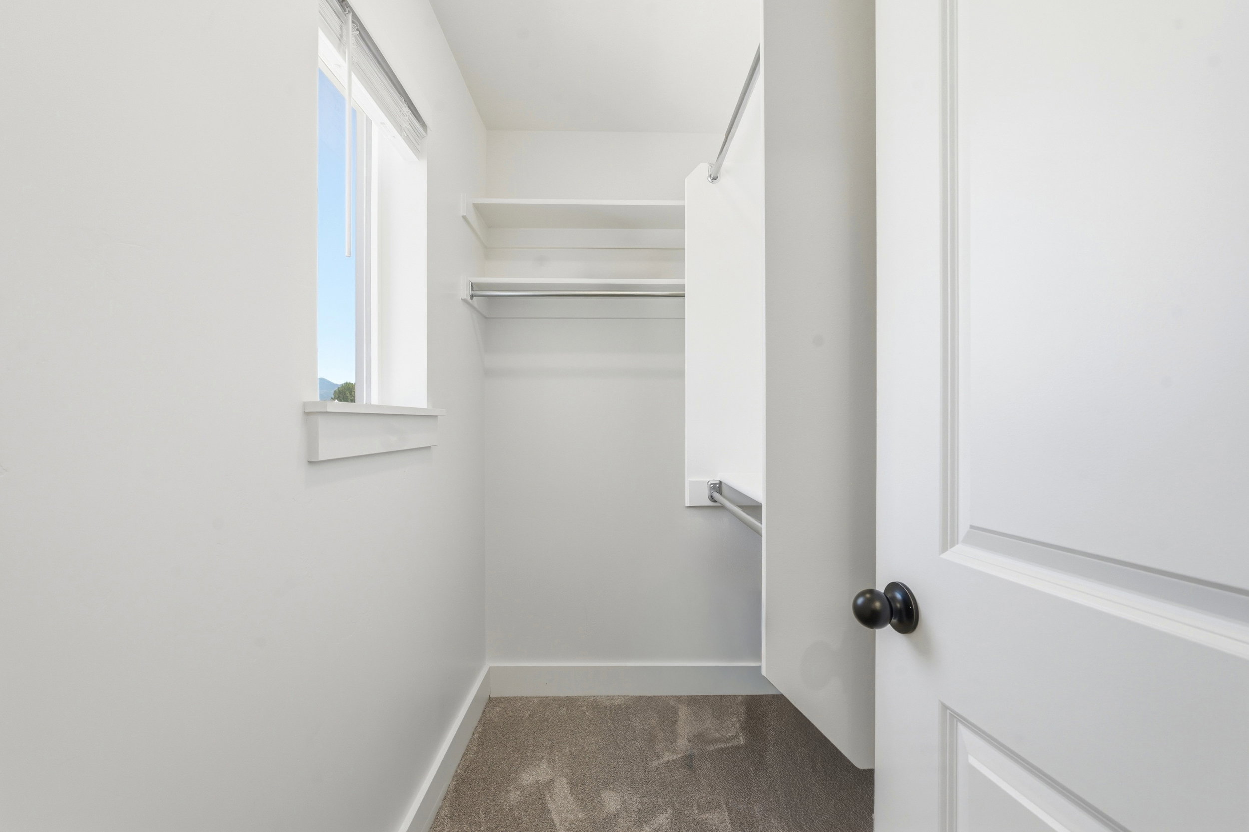 Walk-in closet with carpet flooring, a single window, and built-in shelving and hanging rods