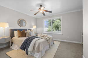 Carpeted room featuring a ceiling fan with integrated lighting, crown molding, and a window with plantation shutters