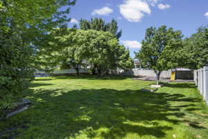 Expansive green lawn with mature trees providing natural shade