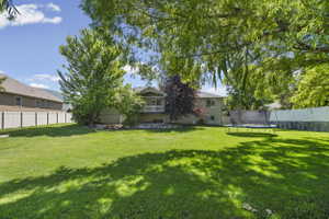 Expansive backyard featuring a manicured lawn, mature trees, and a two-story residence with a balcony