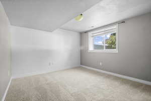 Carpeted room featuring a white-framed window, neutral painted walls, white baseboards, and a ceiling light fixture