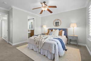 Carpeted bedroom featuring crown molding, a ceiling fan with light fixture, and a window with plantation shutters