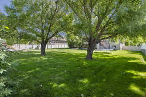 Expansive backyard with a manicured lawn, featuring two mature trees, a privacy fence, and a distant property exterior