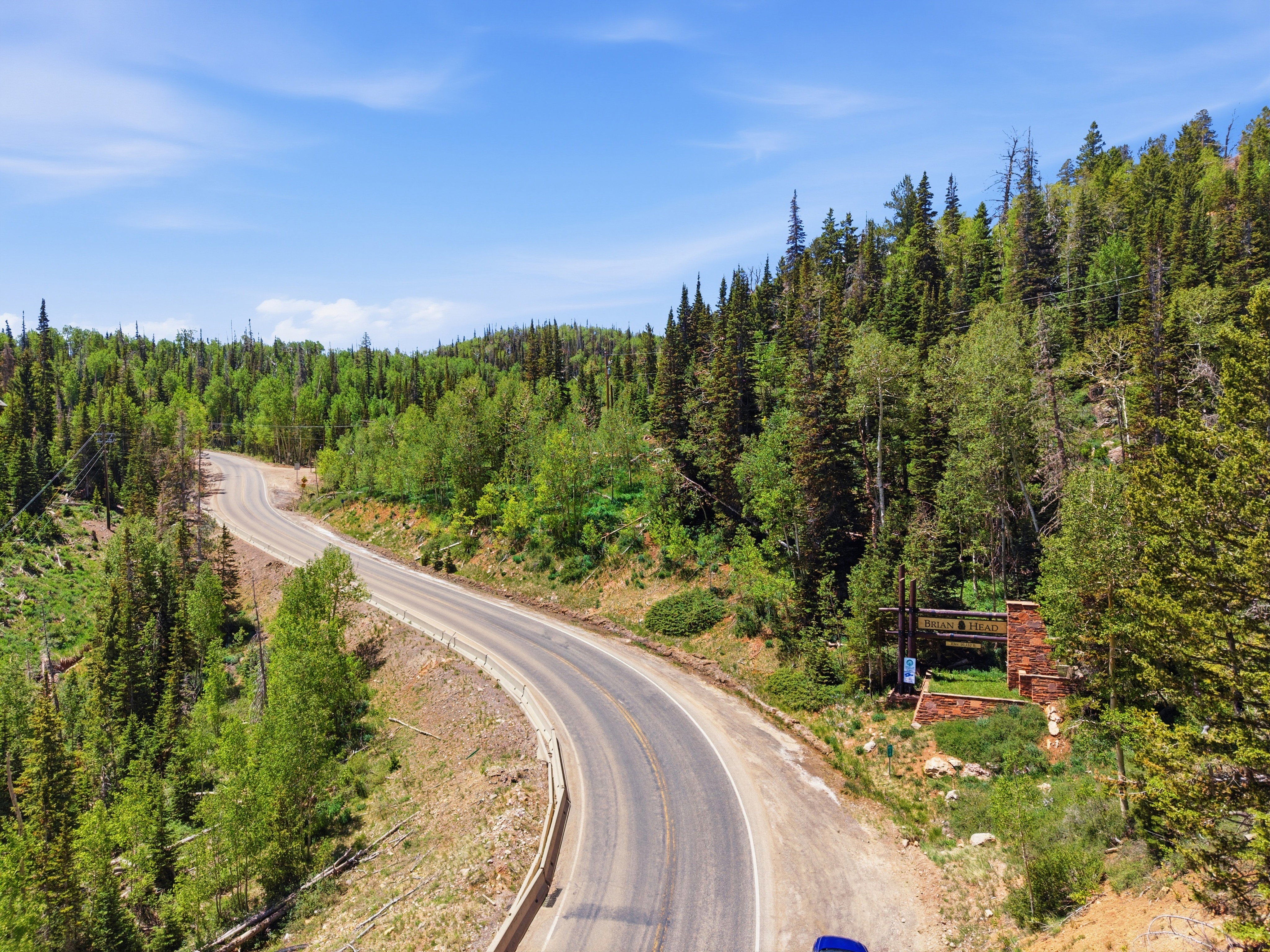 Winding paved road surrounded by dense evergreen and deciduous trees