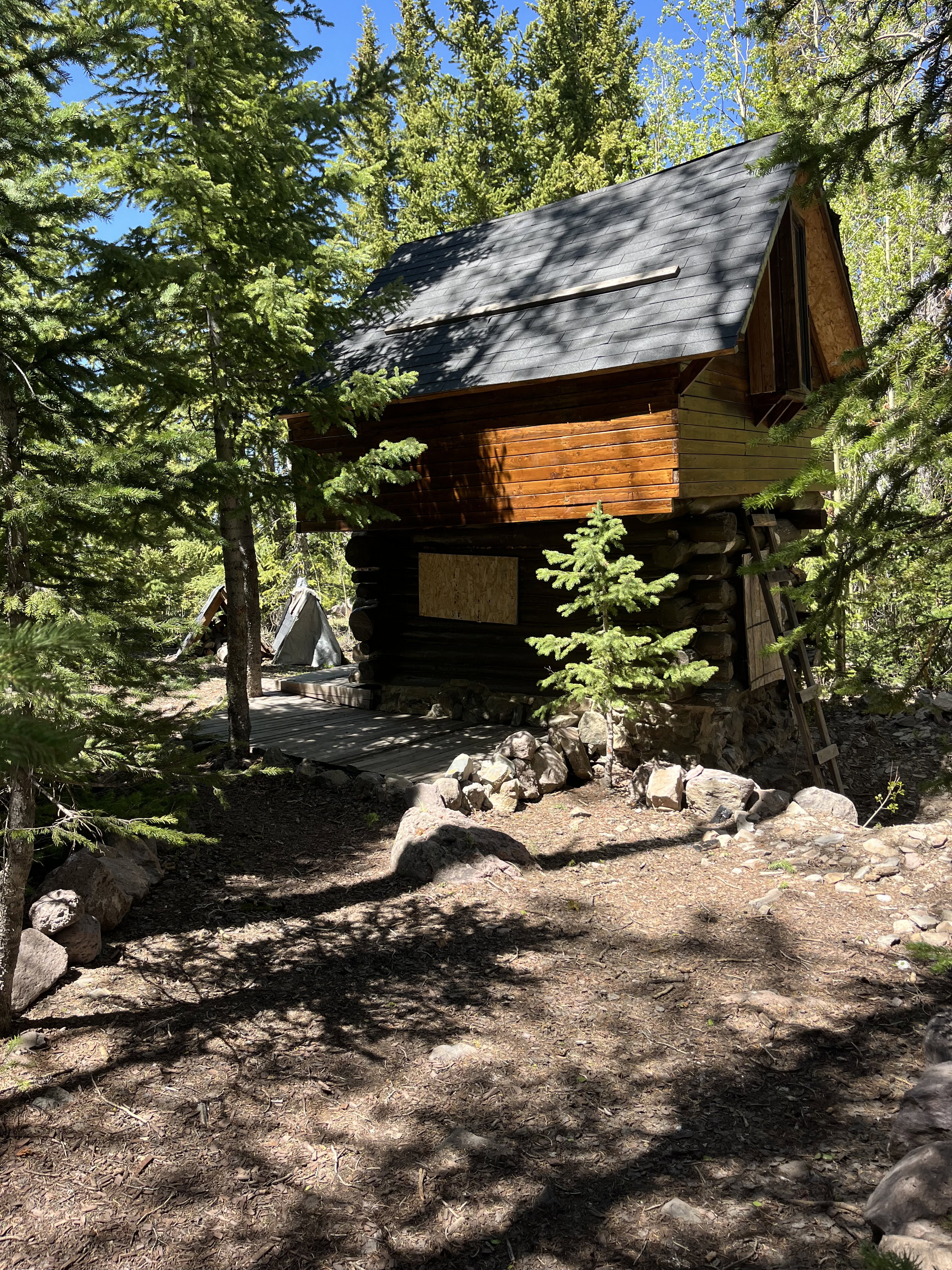 Wood cabin with a dark shingle roof and natural wood siding