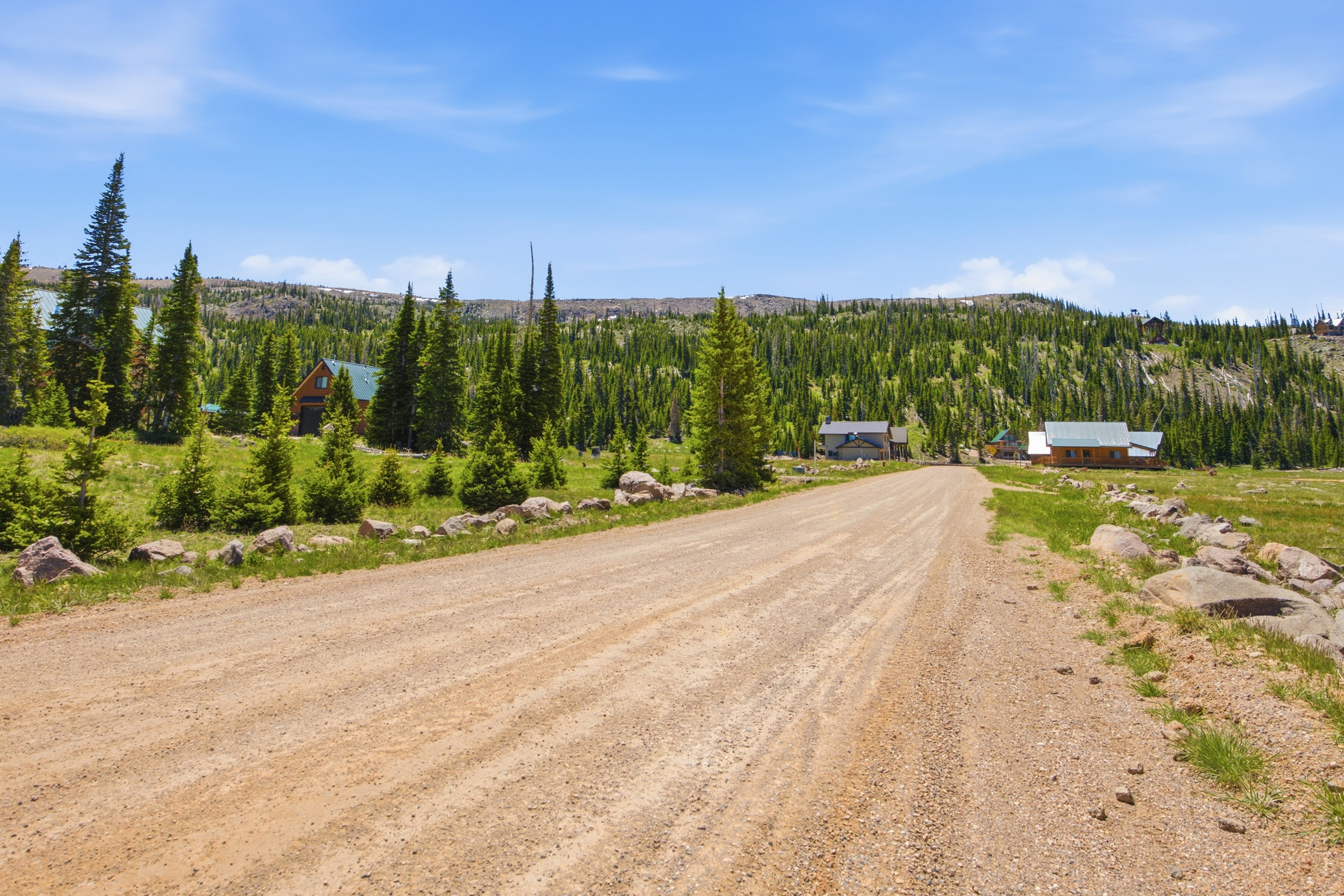Expansive gravel road surrounded by mature pine trees and natural rock formations