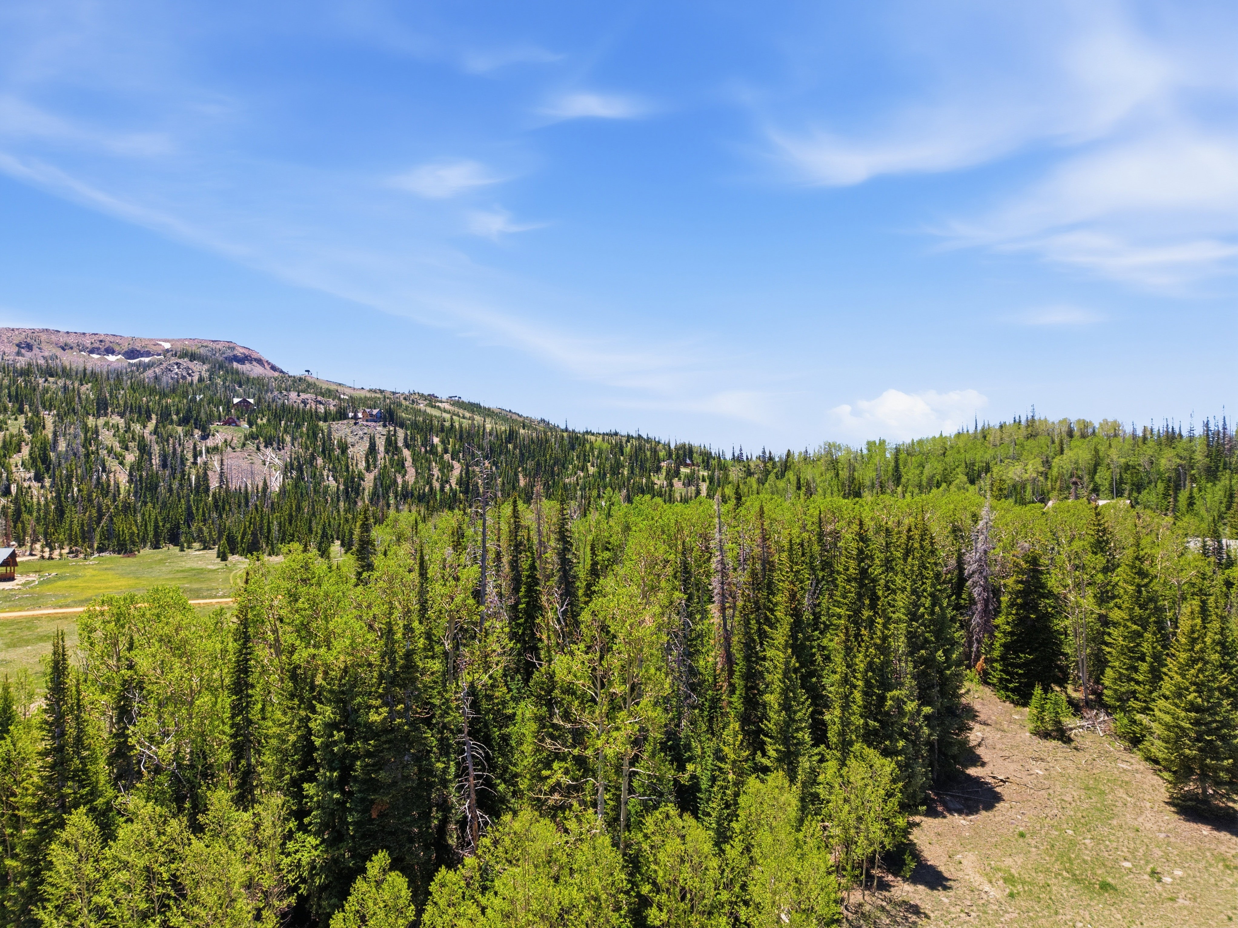 Expansive natural landscape featuring dense evergreen and deciduous trees, a distant mountain range, a clear blue sky, and a partially visible dirt road