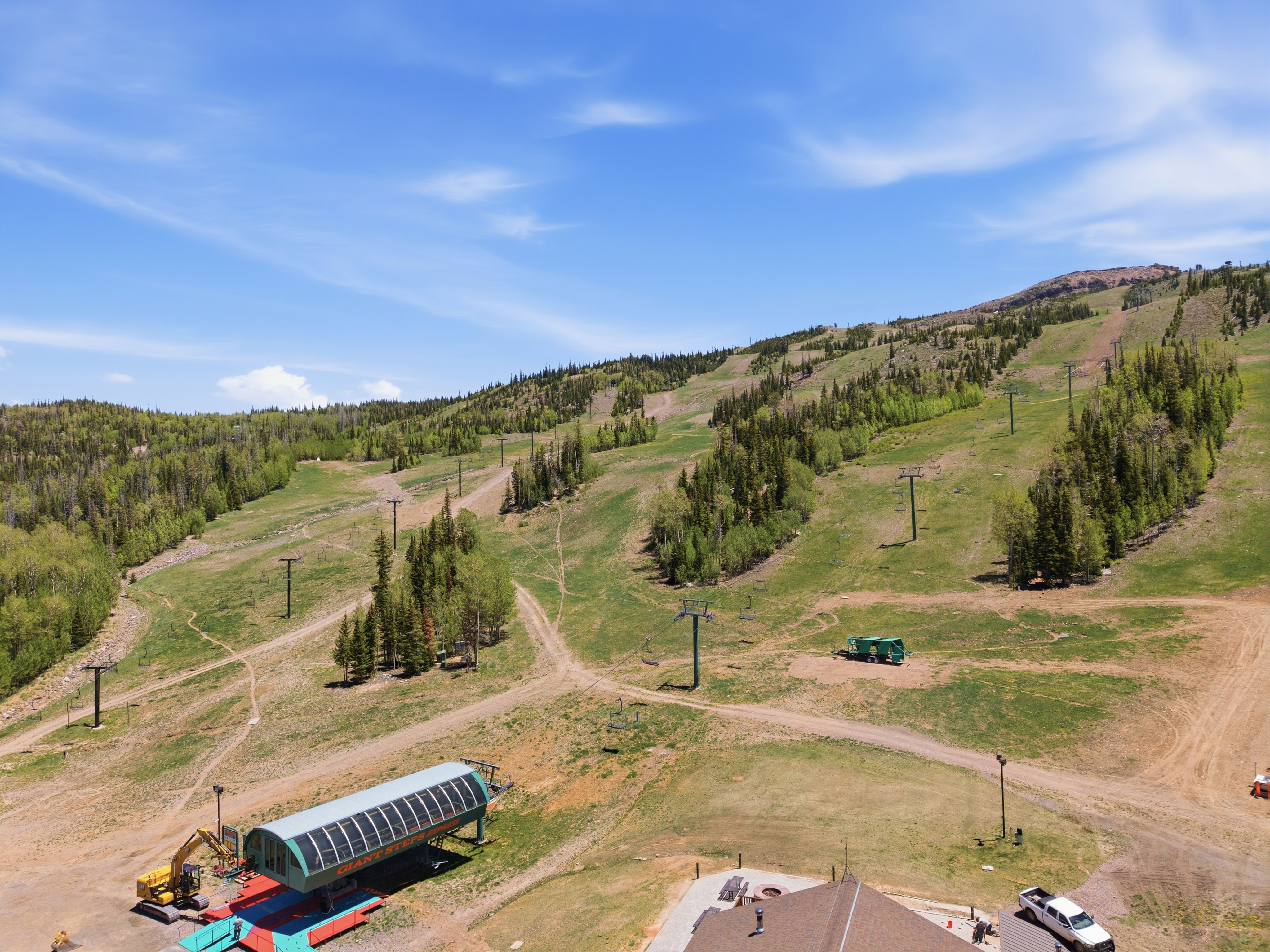 Expansive mountain terrain featuring multiple ski runs and verdant tree lines