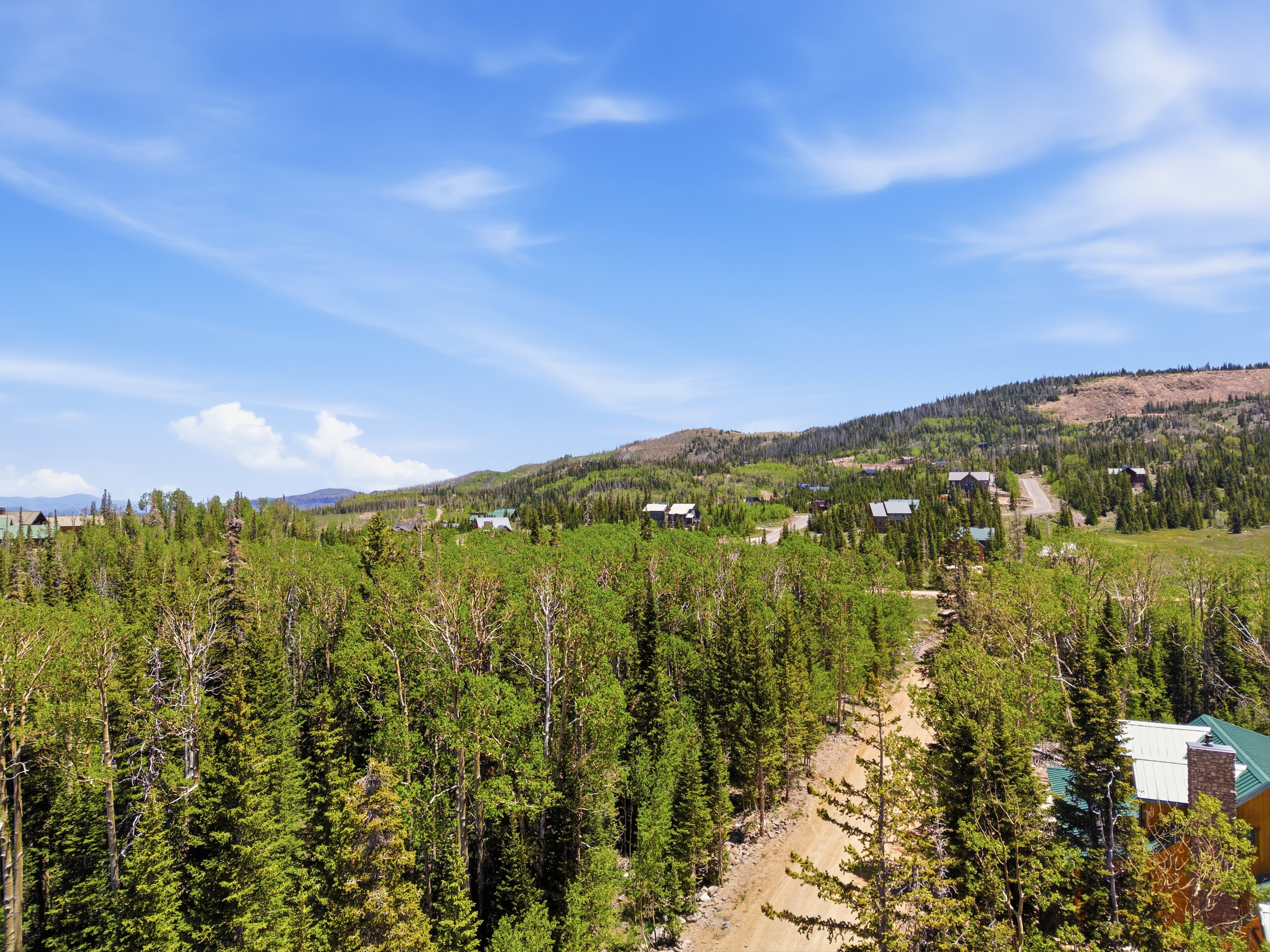 Mountainous terrain featuring diverse tree coverage and scattered residential structures