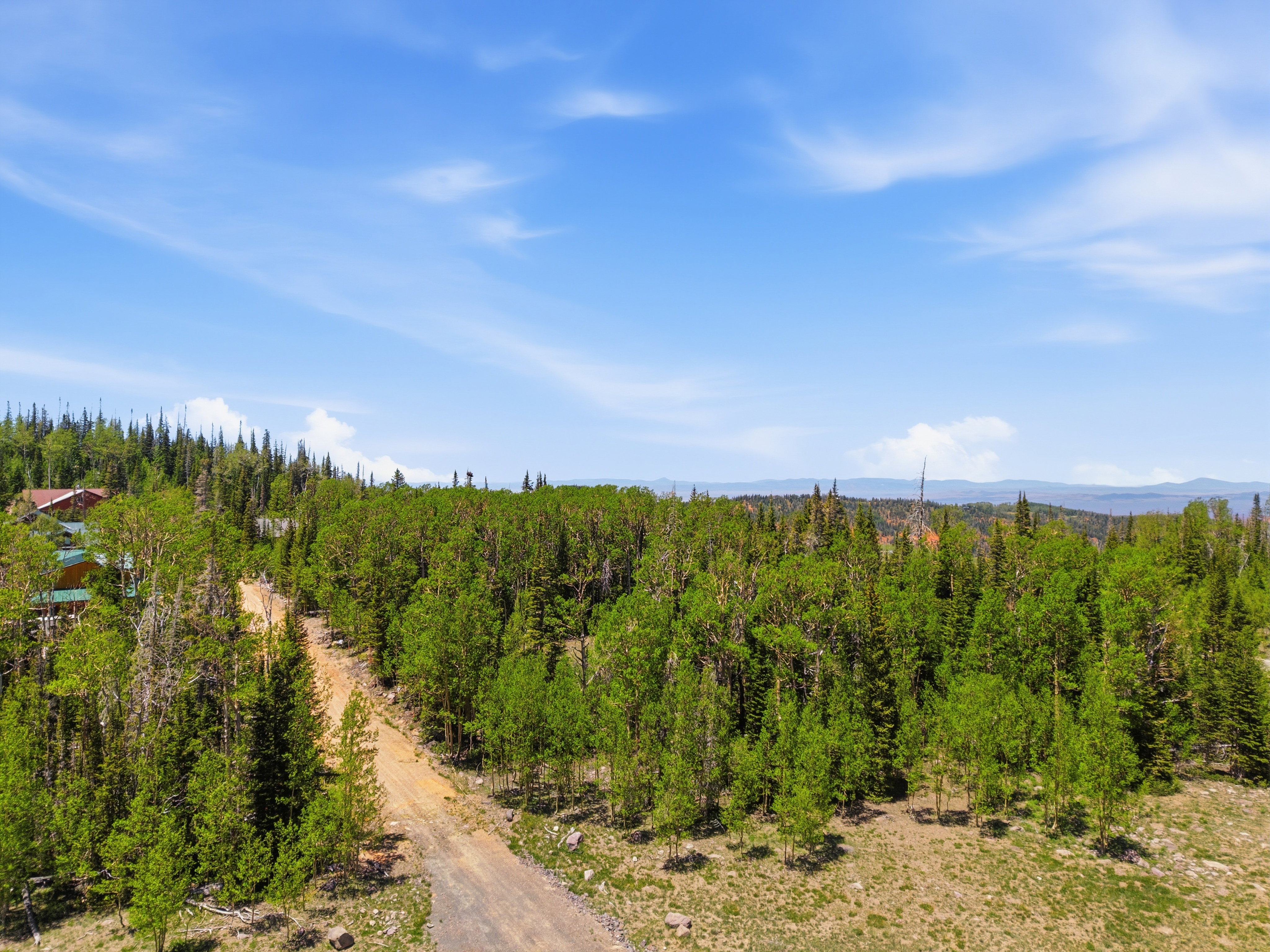 Wooded acreage with a natural terrain, featuring a gravel road and distant mountain ranges under a clear sky