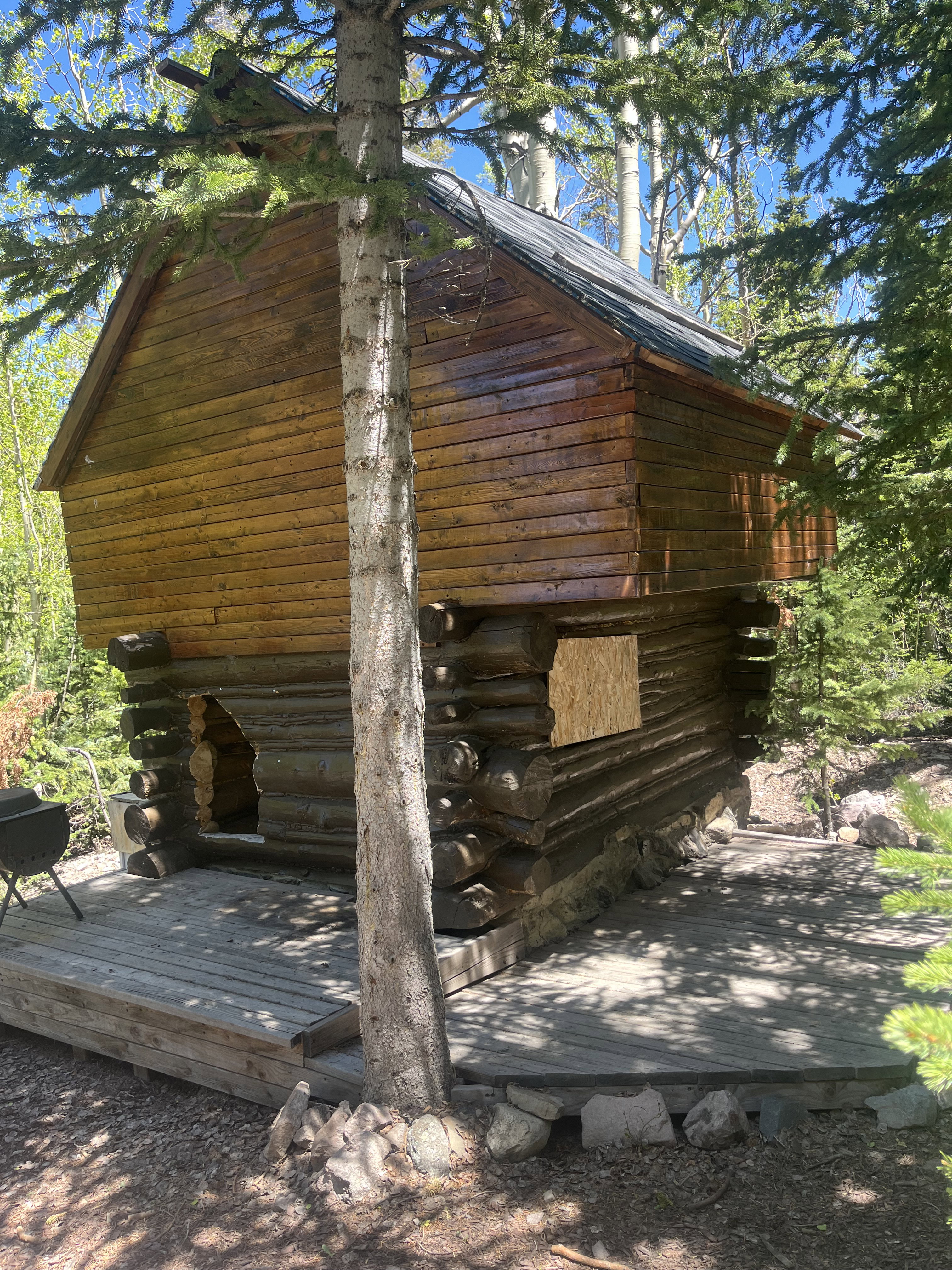 Rustic cabin exterior featuring log construction, wood siding, and a gabled roof