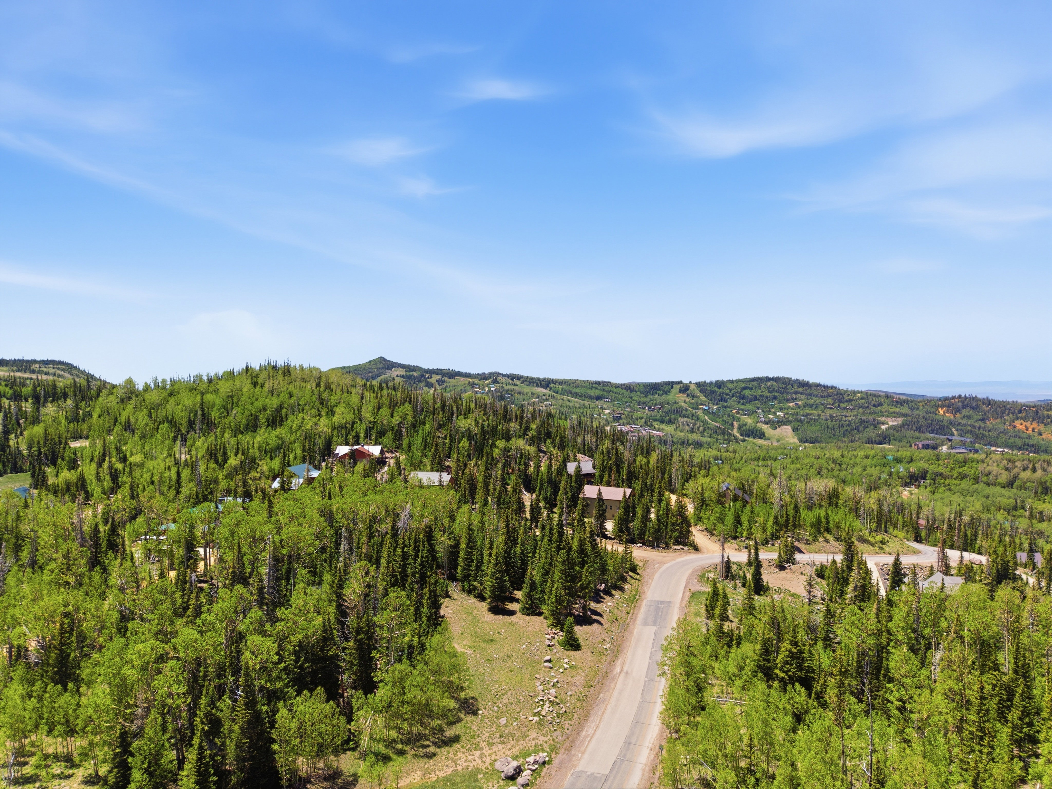 Expansive tree-covered landscape with a paved road traversing the terrain