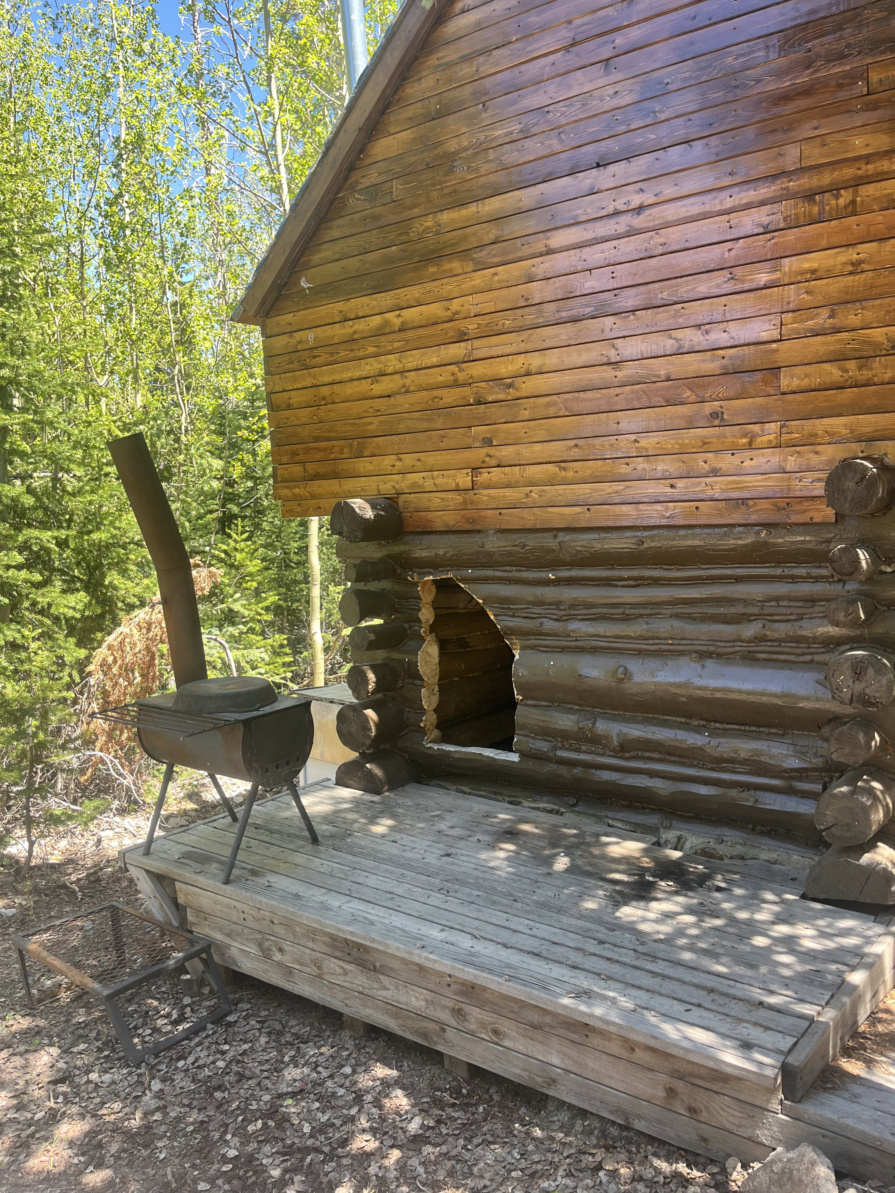 Rustic cabin exterior featuring log construction and horizontal wood siding