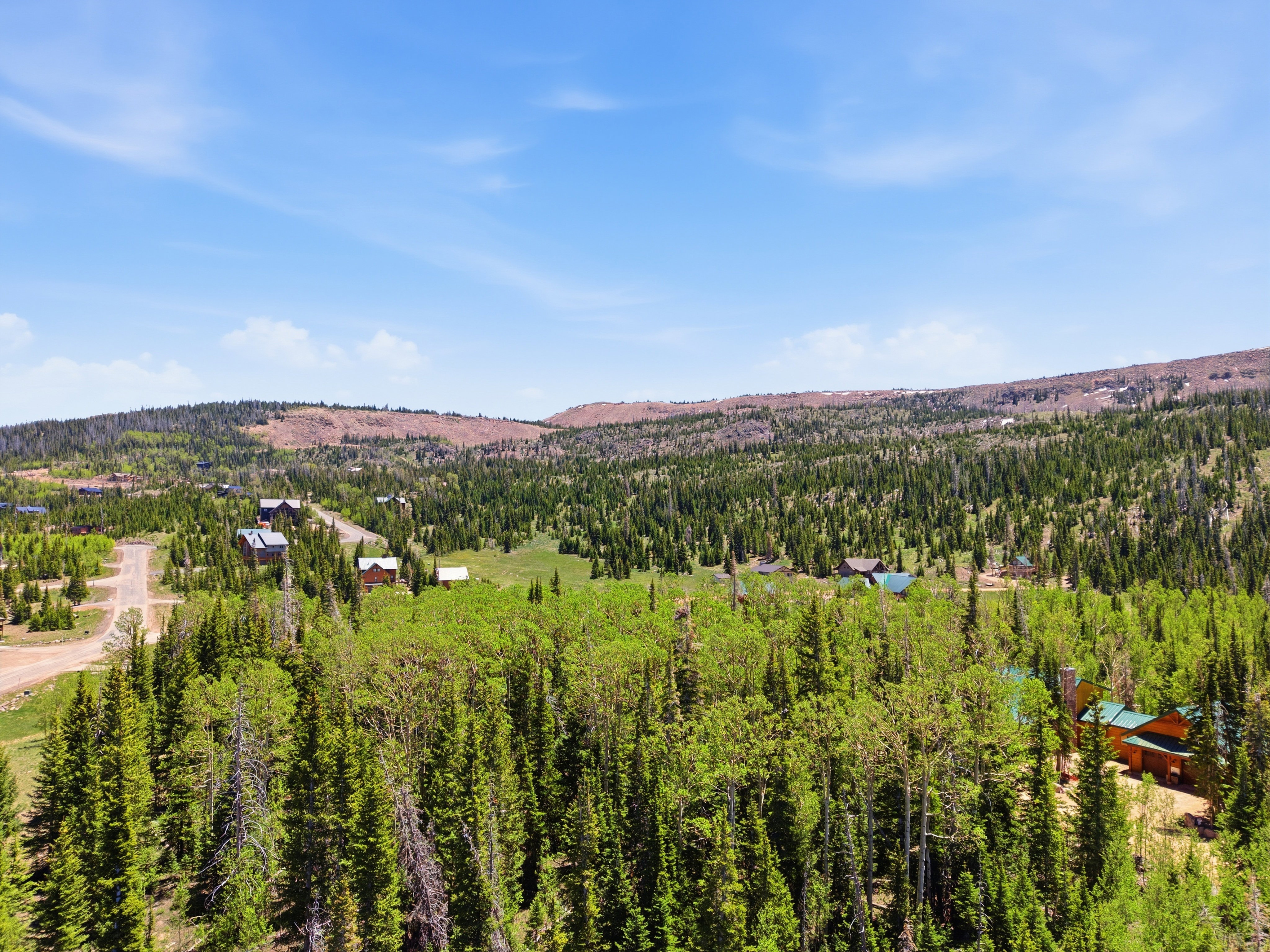 Expansive treed landscape with multiple cabin-style properties and visible dirt roads
