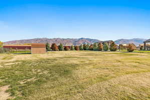 Expansive grassy yard with mountain scenery