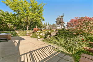 Patio area with a built-in hot tub, concrete paving, and a sloped landscape with integrated rockery and diverse plantings