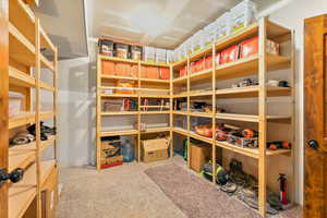 Spacious storage area featuring extensive built-in wooden shelving, neutral-toned walls, and soft carpet flooring