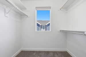 Walk-in closet featuring built-in shelving, hanging rods, an integrated window, textured carpeting, and white baseboards