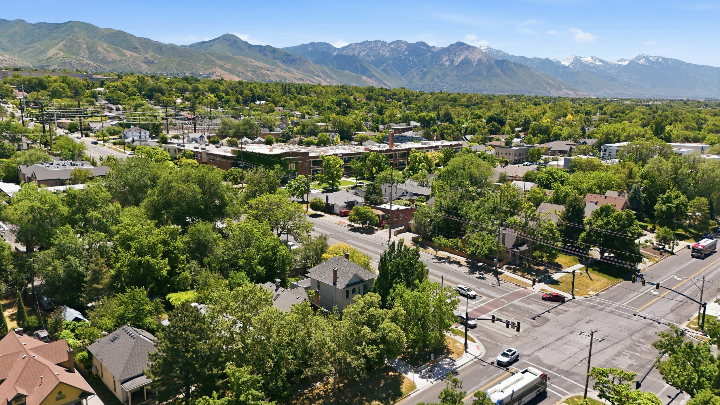 Mature treeline community with mountain range backdrop